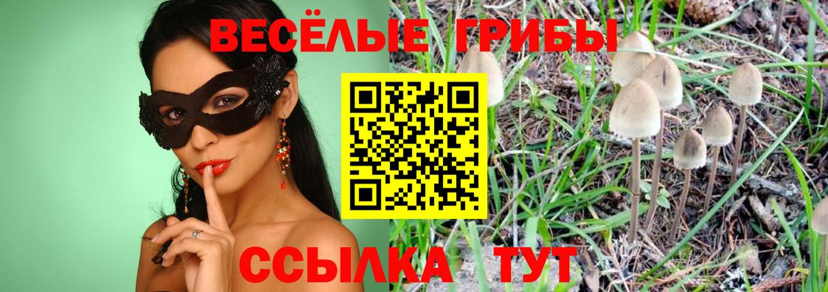 Псилоцибиновые грибы прущие грибы Похвистнево